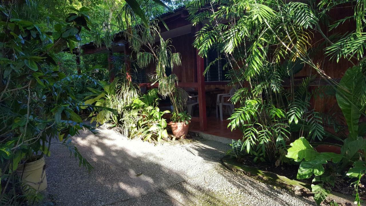 Guest House Posada Ixchel El Remate Dış mekan fotoğraf